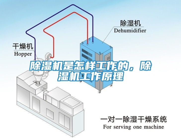 小黄片直播视频是怎样工作的，小黄片直播视频工作原理