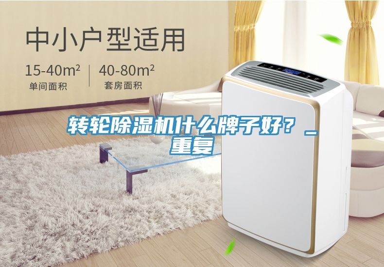 转轮小黄片直播视频什么牌子好？_重复