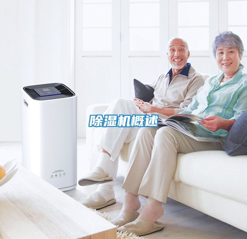 小黄片直播视频概述