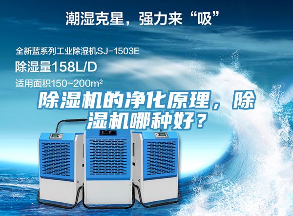 小黄片直播视频的净化原理，小黄片直播视频哪种好？