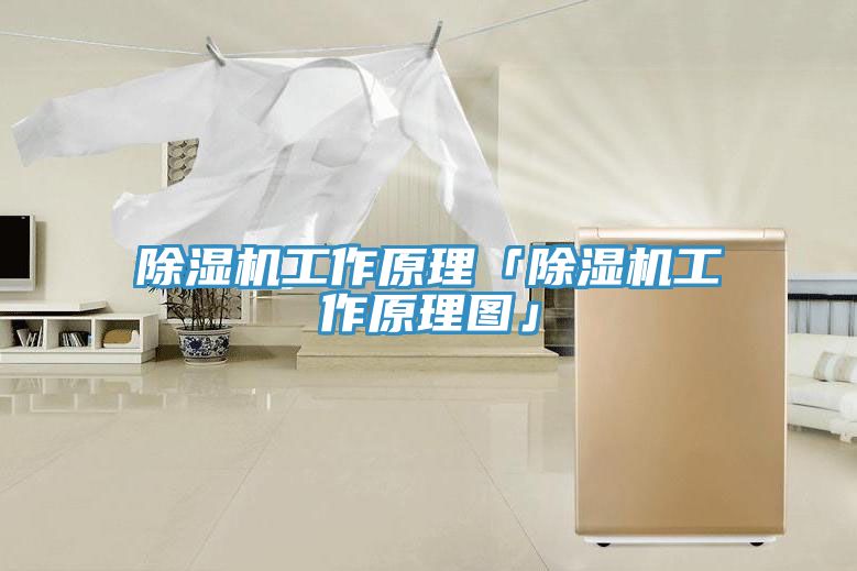 小黄片直播视频工作原理「小黄片直播视频工作原理图」