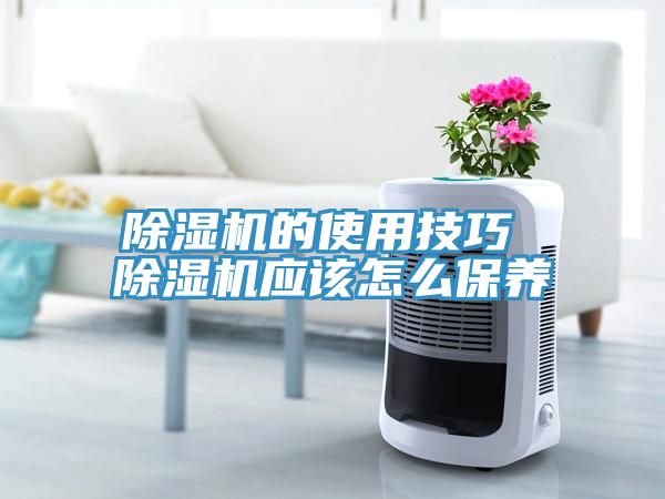 小黄片直播视频的使用技巧 小黄片直播视频应该怎么保养