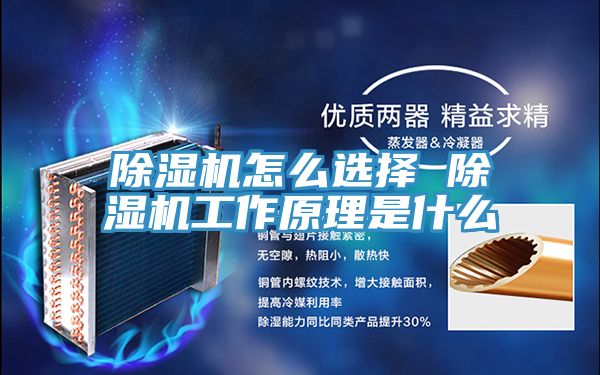 小黄片直播视频怎么选择 小黄片直播视频工作原理是什么