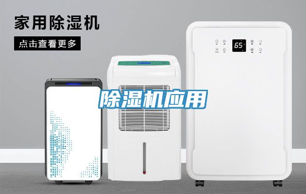 小黄片直播视频应用