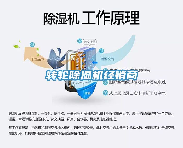 转轮小黄片直播视频经销商