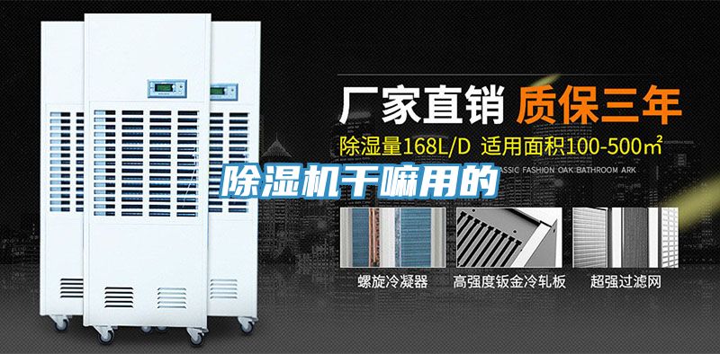 小黄片直播视频干嘛用的