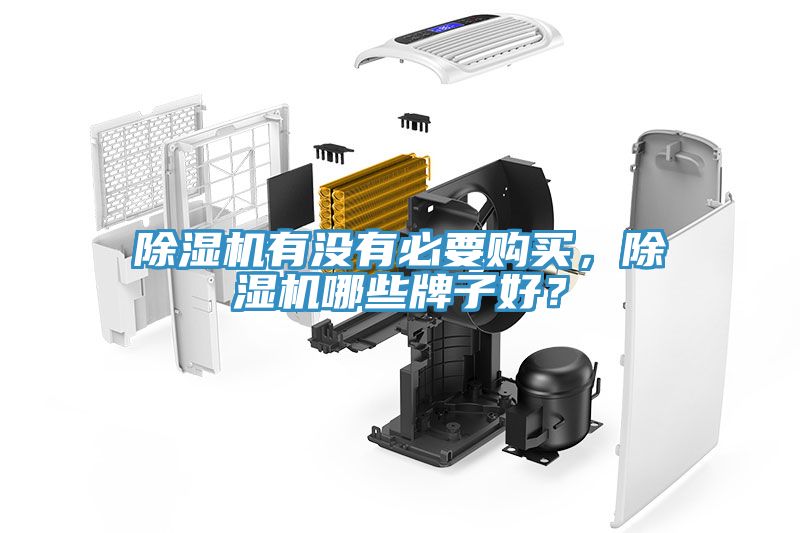 小黄片直播视频有没有必要购买，小黄片直播视频哪些牌子好？