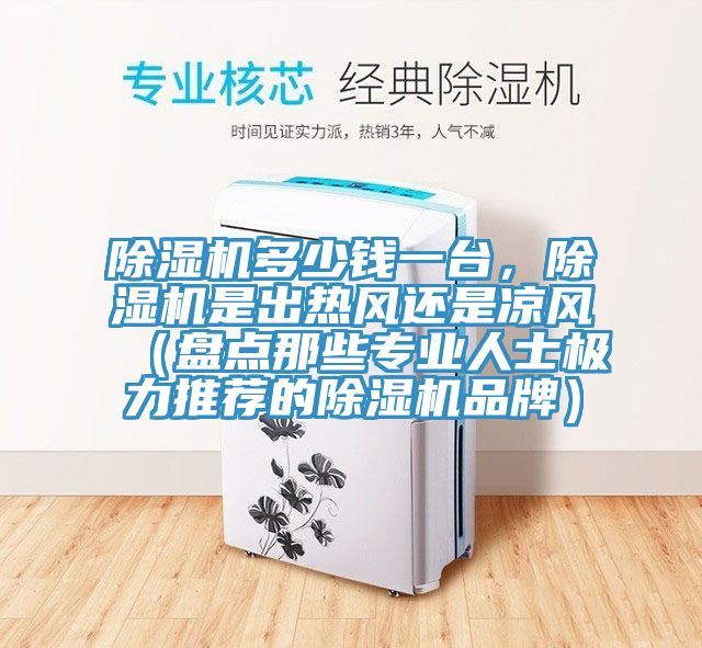 小黄片直播视频多少钱一台，小黄片直播视频是出热风还是凉风（盘点那些专业人士极力推荐的小黄片直播视频品牌）