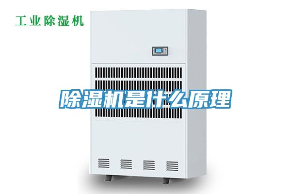 小黄片直播视频是什么原理