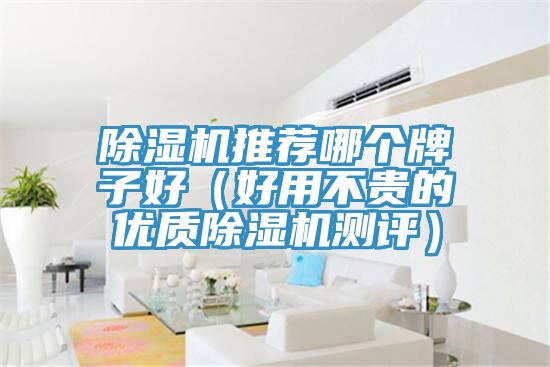 小黄片直播视频推荐哪个牌子好（好用不贵的优质小黄片直播视频测评）