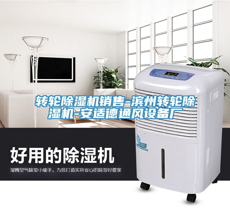 转轮小黄片直播视频销售-滨州转轮小黄片直播视频-安适德通风设备厂