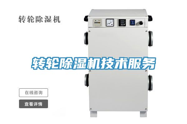 转轮小黄片直播视频技术服务