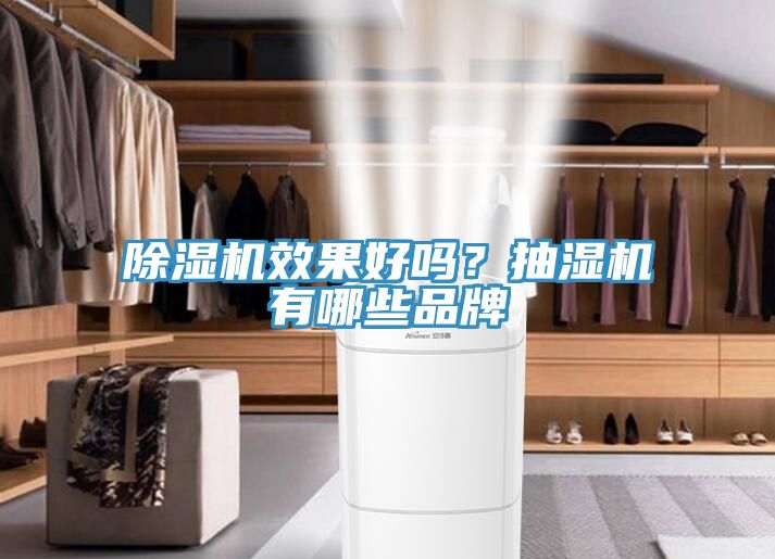 小黄片直播视频效果好吗？抽湿机有哪些品牌