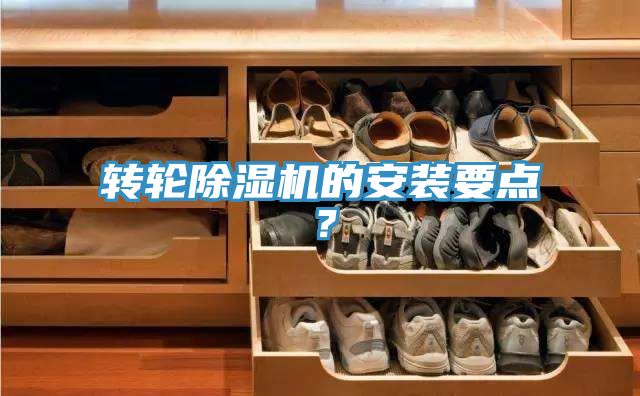 转轮小黄片直播视频的安装要点？