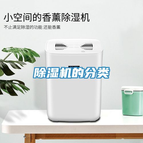 小黄片直播视频的分类