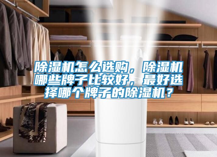 小黄片直播视频怎么选购，小黄片直播视频哪些牌子比较好，最好选择哪个牌子的小黄片直播视频？
