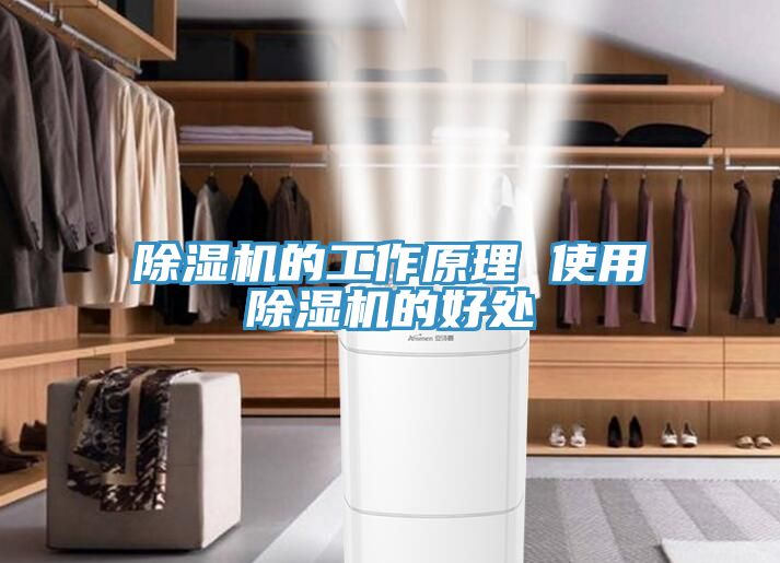 小黄片直播视频的工作原理 使用小黄片直播视频的好处