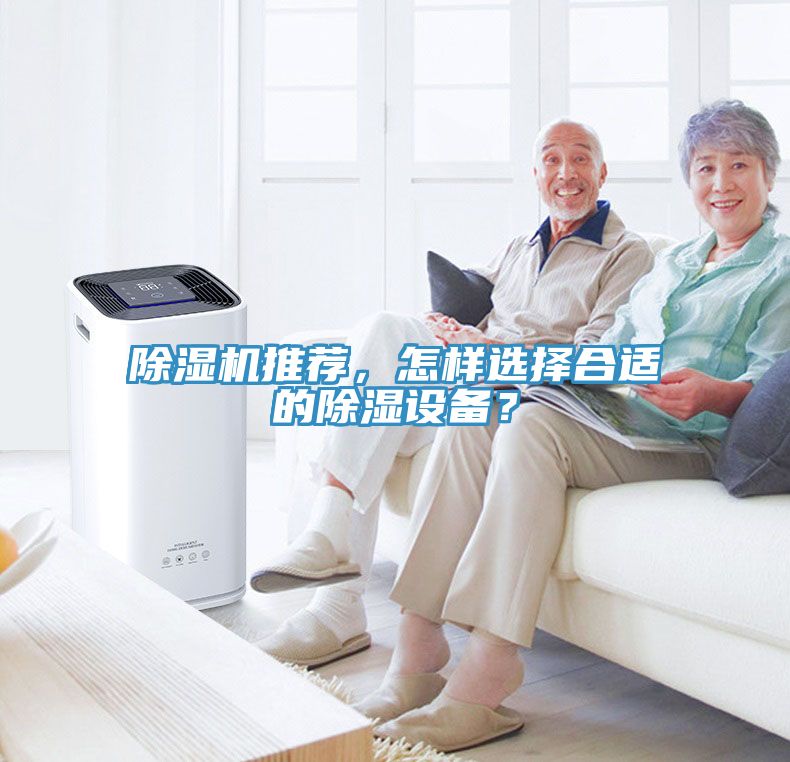 小黄片直播视频推荐，怎样选择合适的除湿设备？
