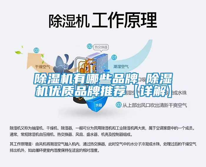 小黄片直播视频有哪些品牌 小黄片直播视频优质品牌推荐【详解】