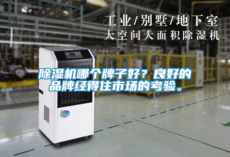 小黄片直播视频哪个牌子好？良好的品牌经得住市场的考验。