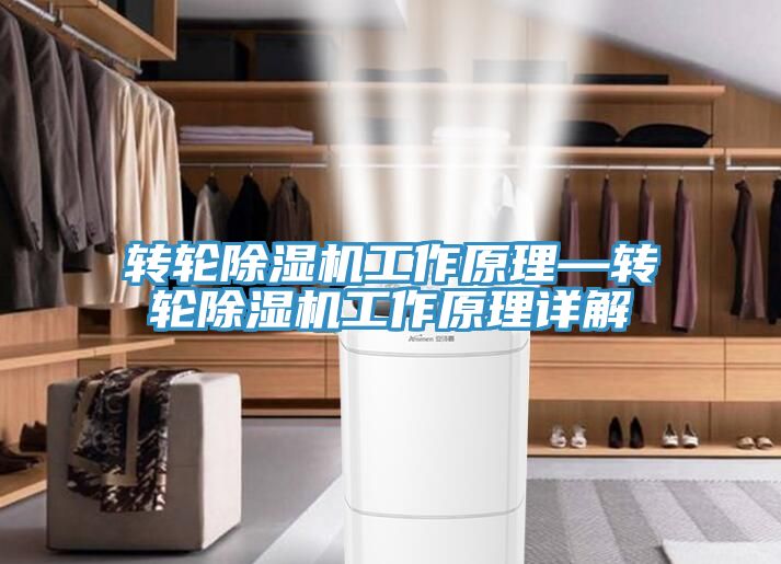 转轮小黄片直播视频工作原理—转轮小黄片直播视频工作原理详解