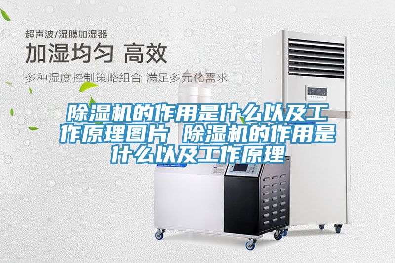 小黄片直播视频的作用是什么以及工作原理图片 小黄片直播视频的作用是什么以及工作原理
