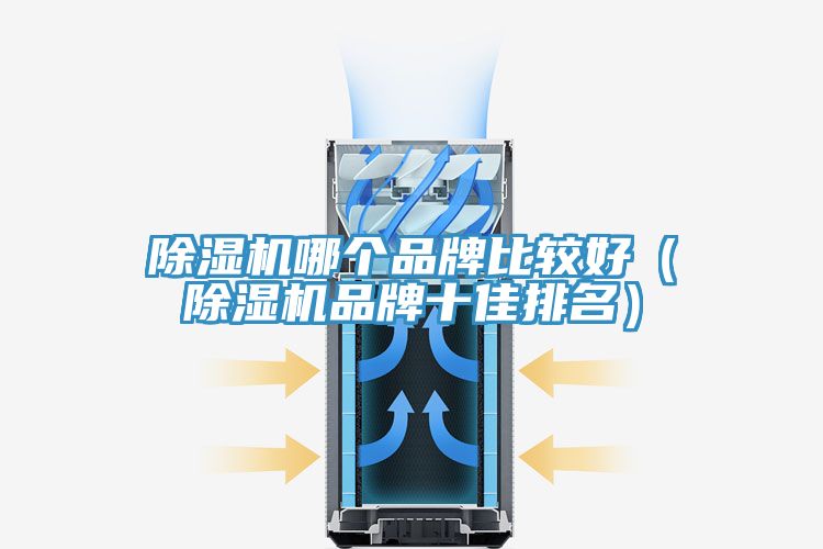 小黄片直播视频哪个品牌比较好（小黄片直播视频品牌十佳排名）