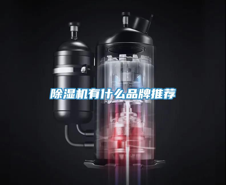 小黄片直播视频有什么品牌推荐