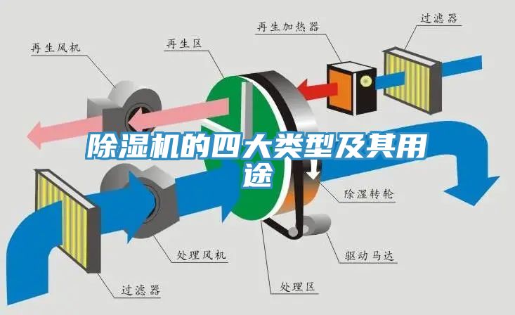 小黄片直播视频的四大类型及其用途