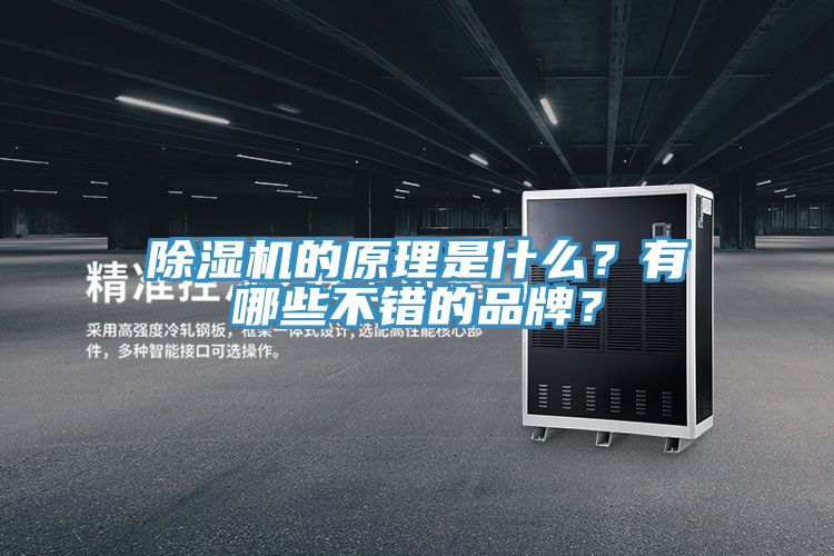 小黄片直播视频的原理是什么？有哪些不错的品牌？