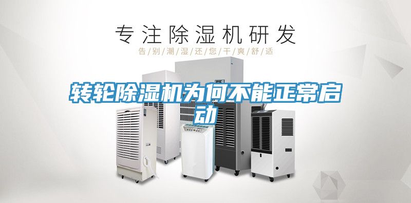 转轮小黄片直播视频为何不能正常启动