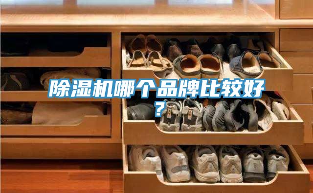小黄片直播视频哪个品牌比较好？