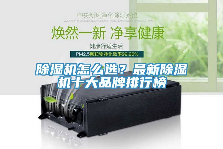 小黄片直播视频怎么选？最新小黄片直播视频十大品牌排行榜