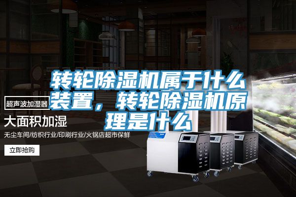 转轮小黄片直播视频属于什么装置，转轮小黄片直播视频原理是什么