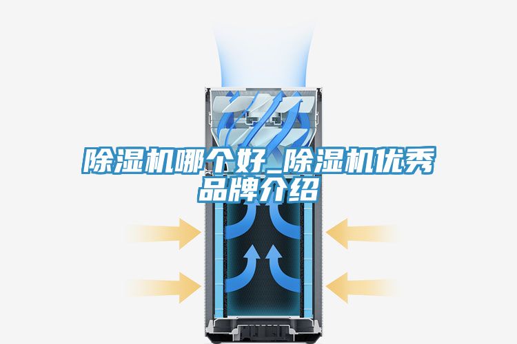 小黄片直播视频哪个好_小黄片直播视频优秀品牌介绍