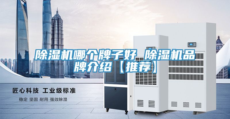 小黄片直播视频哪个牌子好 小黄片直播视频品牌介绍【推荐】