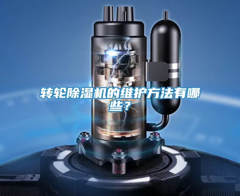 转轮小黄片直播视频的维护方法有哪些？