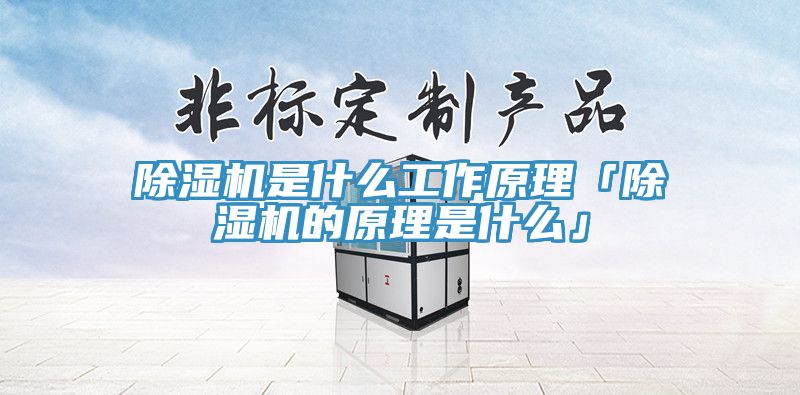 小黄片直播视频是什么工作原理「小黄片直播视频的原理是什么」