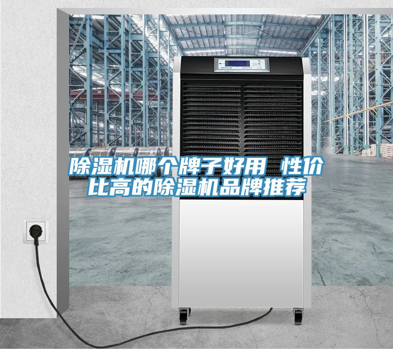 小黄片直播视频哪个牌子好用 性价比高的小黄片直播视频品牌推荐