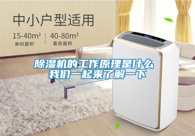 小黄片直播视频的工作原理是什么 午夜小黄片APP一起来了解一下