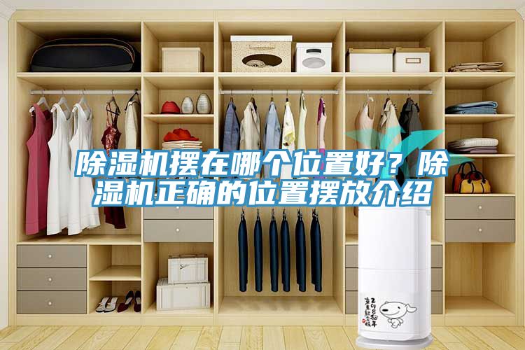 小黄片直播视频摆在哪个位置好？小黄片直播视频正确的位置摆放介绍