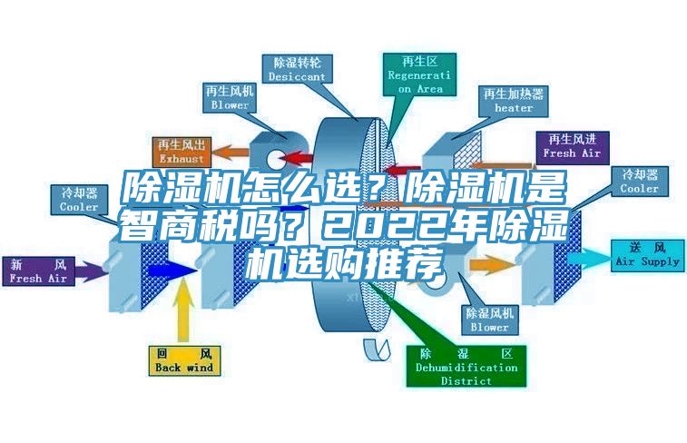 小黄片直播视频怎么选？小黄片直播视频是智商税吗？2022年小黄片直播视频选购推荐