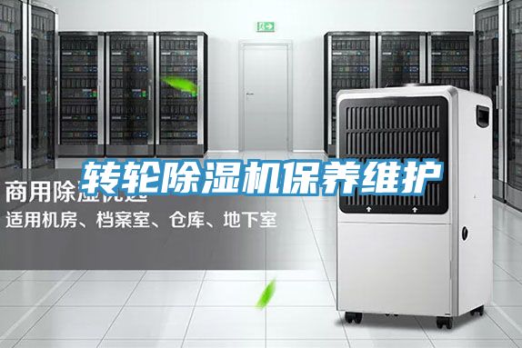 转轮小黄片直播视频保养维护