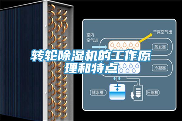 转轮小黄片直播视频的工作原理和特点