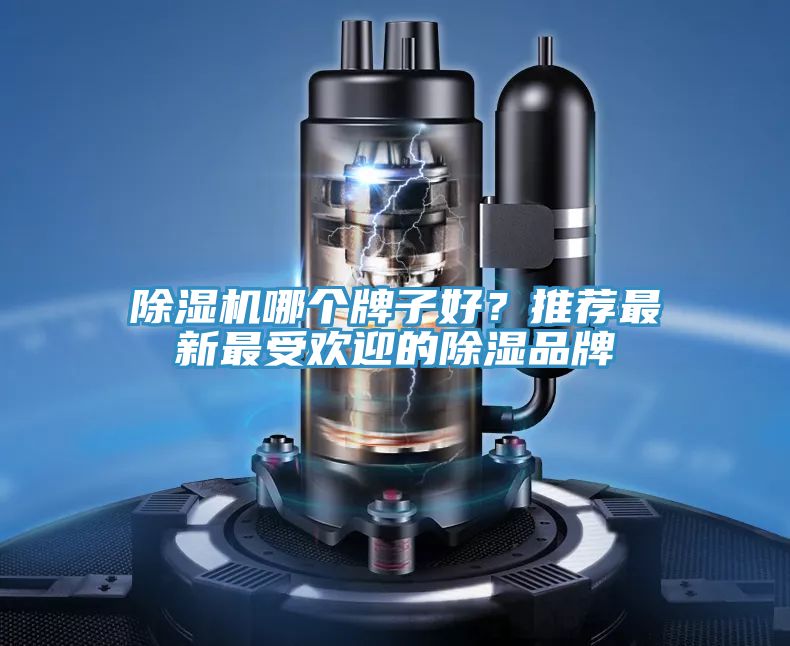 小黄片直播视频哪个牌子好？推荐最新最受欢迎的除湿品牌