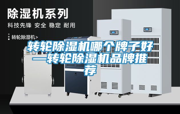 转轮小黄片直播视频哪个牌子好—转轮小黄片直播视频品牌推荐