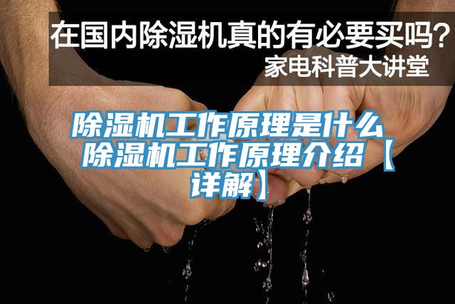 小黄片直播视频工作原理是什么 小黄片直播视频工作原理介绍【详解】