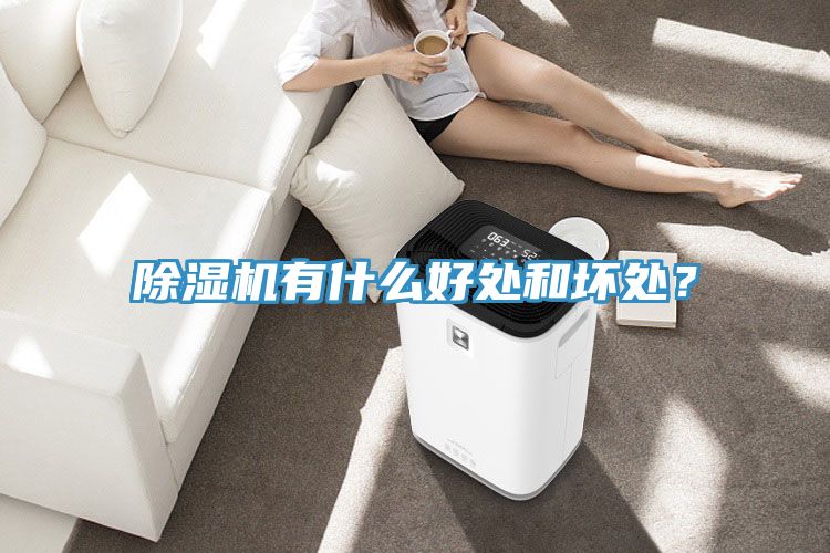 小黄片直播视频有什么好处和坏处？