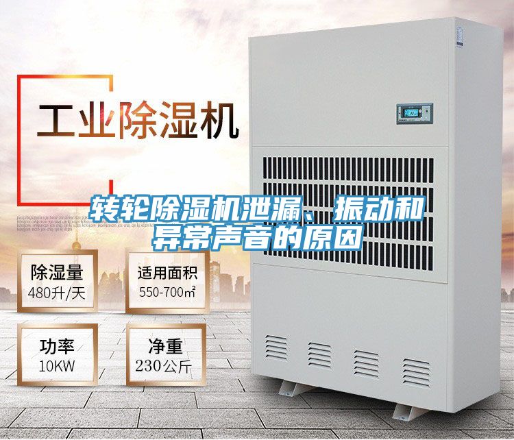 转轮小黄片直播视频泄漏、振动和异常声音的原因