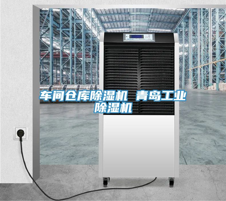车间仓库小黄片直播视频 青岛工业小黄片直播视频
